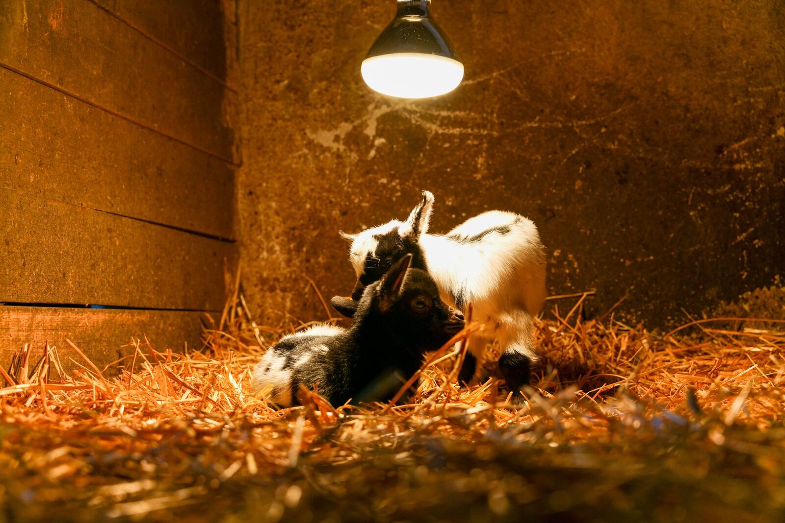 Cascina Camporosso