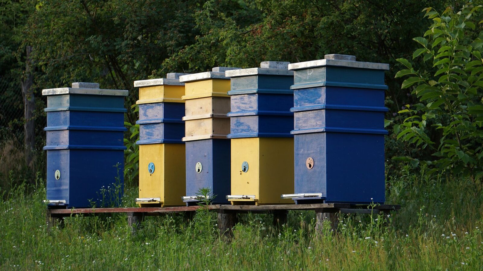 Gruppo Apicoltori Riuniti