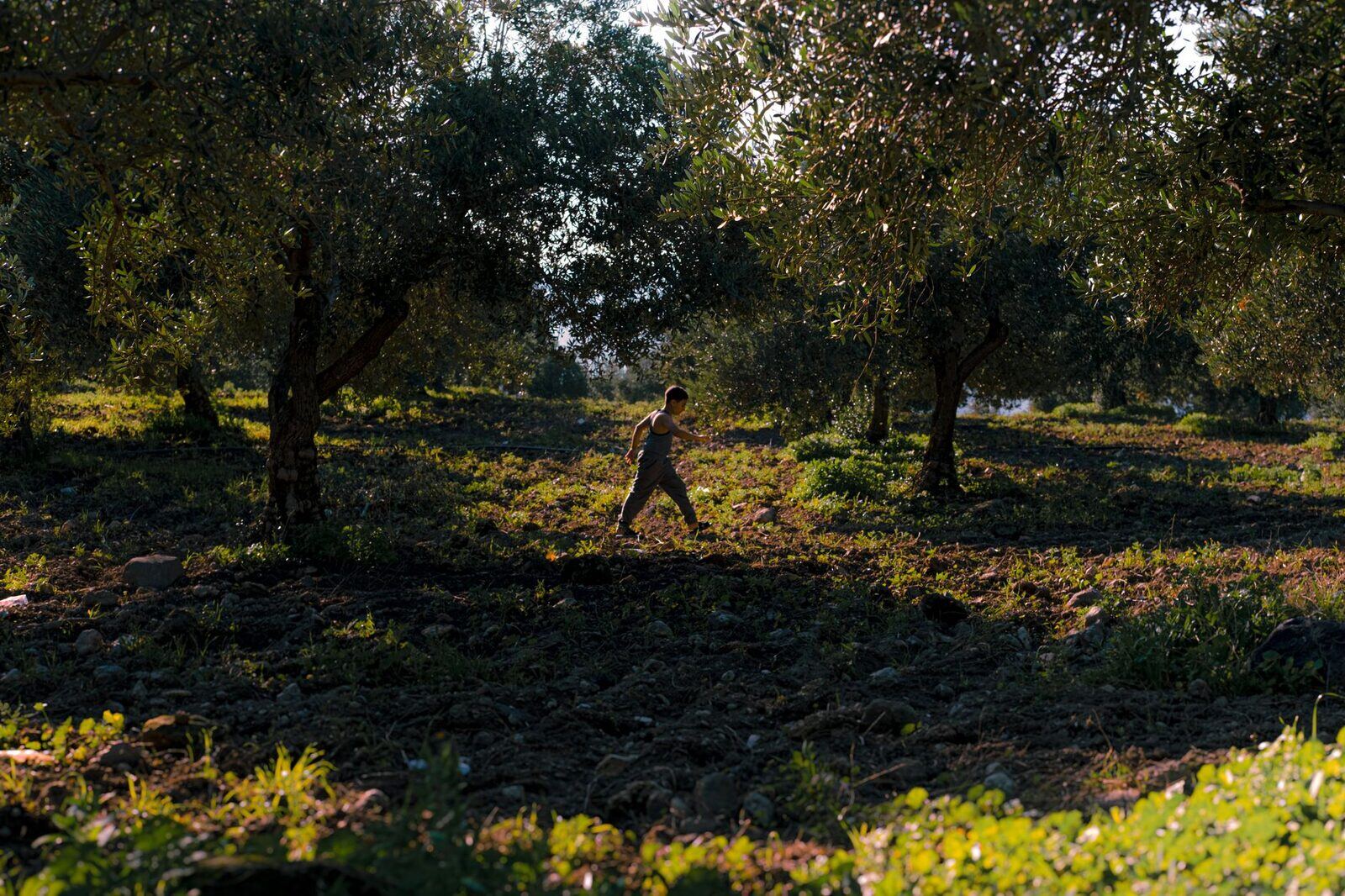 Agroalimentaria del Ebro, SL