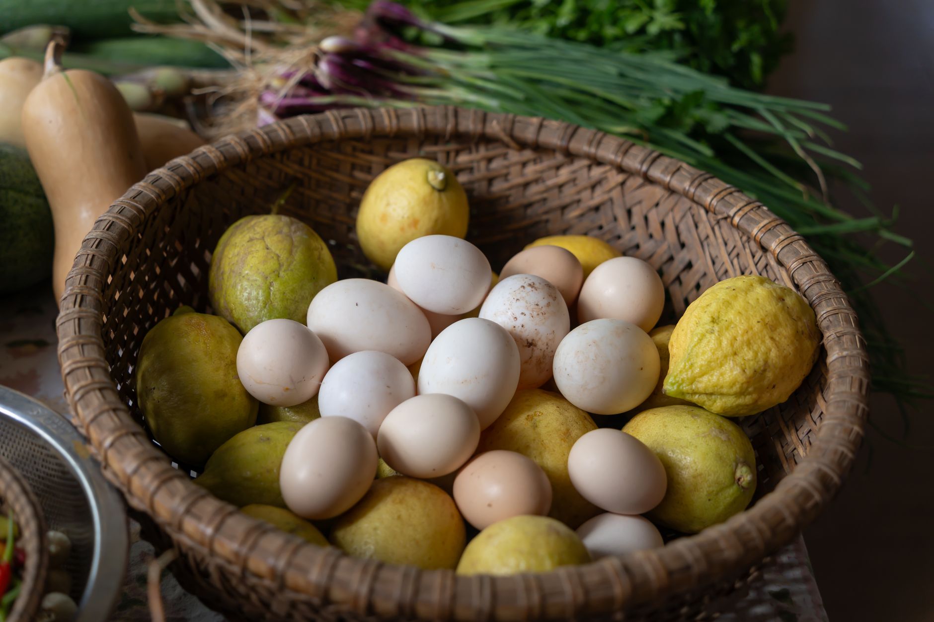 LE VILLAGE POTAGER DU PAYS DE NEMOURS