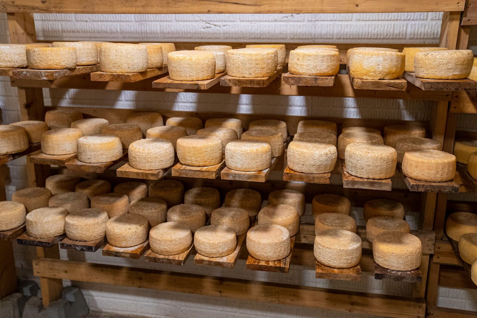Agroalimentària Fido, SCP