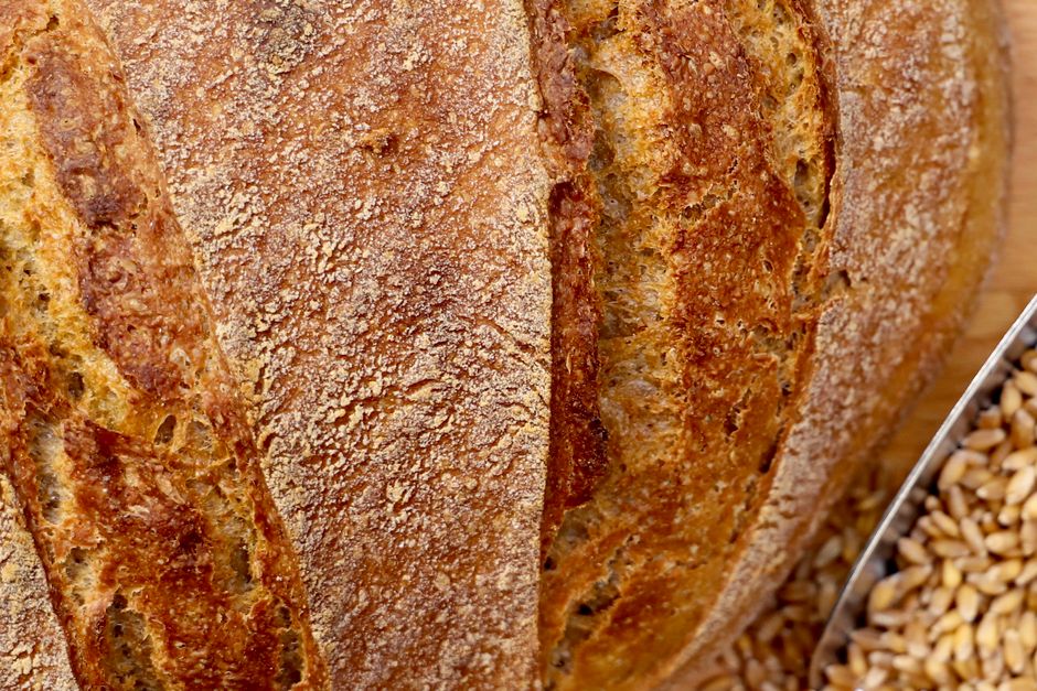 Bread
