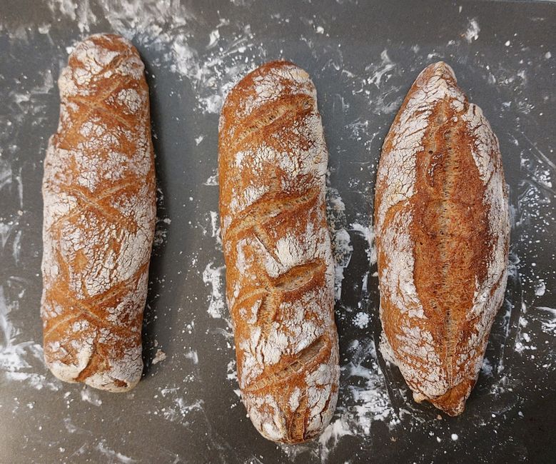 Bread
