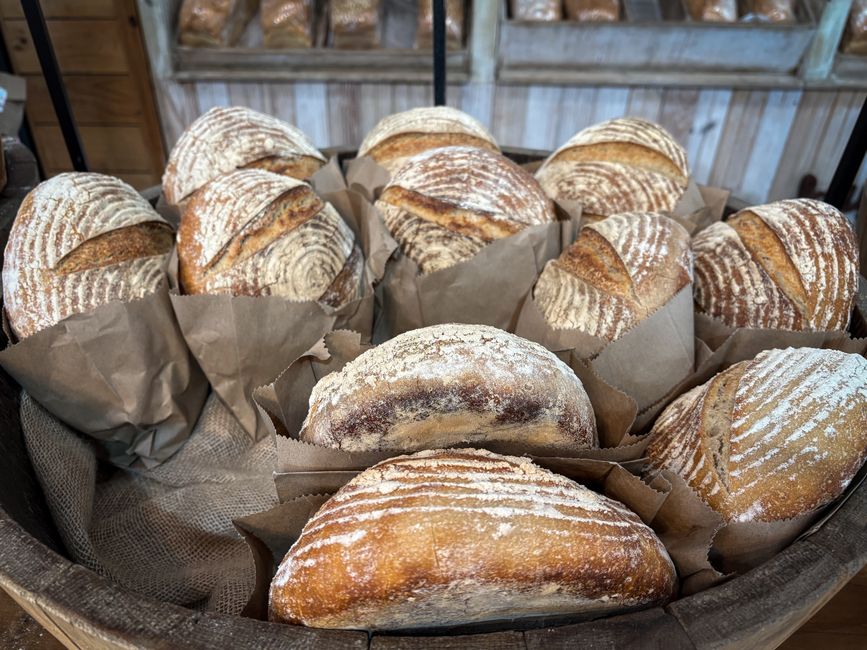 Bread