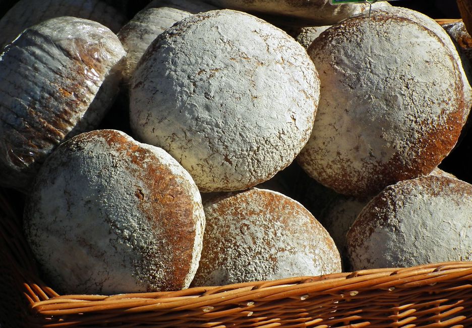 Bread