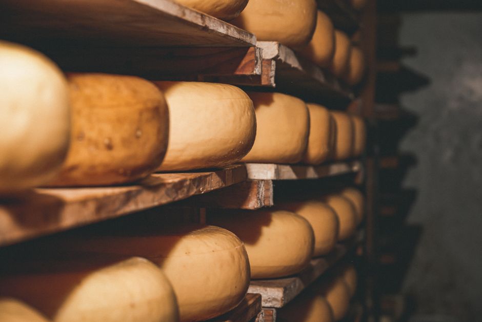 Cheese