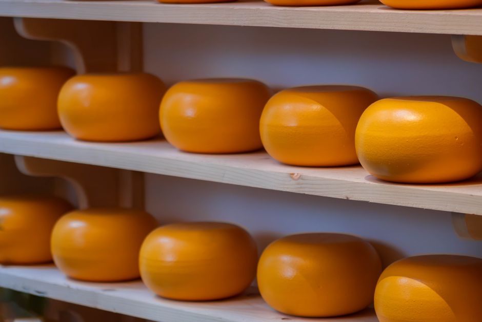 Cheese
