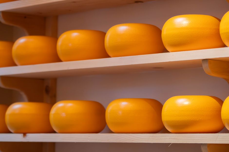 Cheese