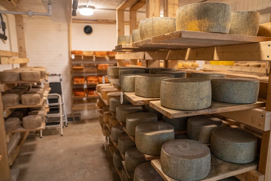Cheese