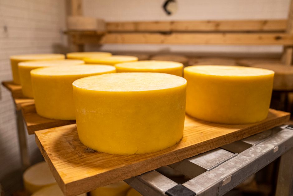 Cheese