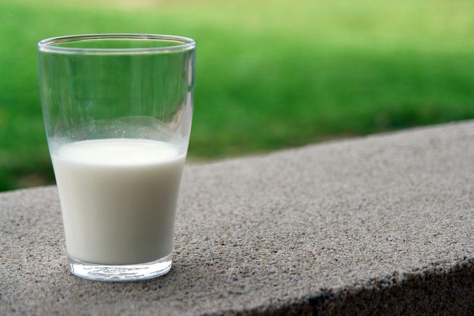 Milk & dairy