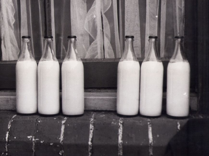 Milk & dairy