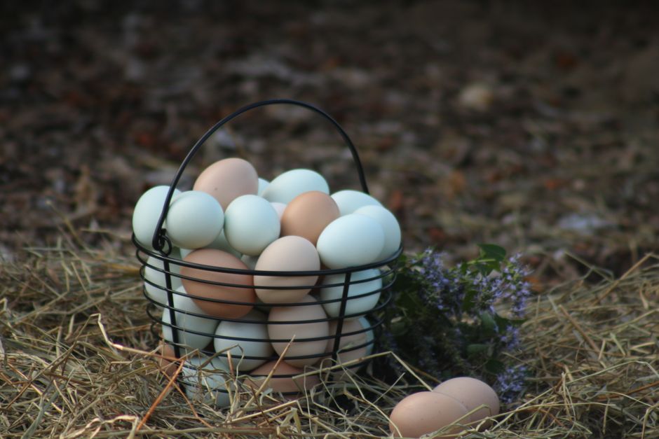Eggs