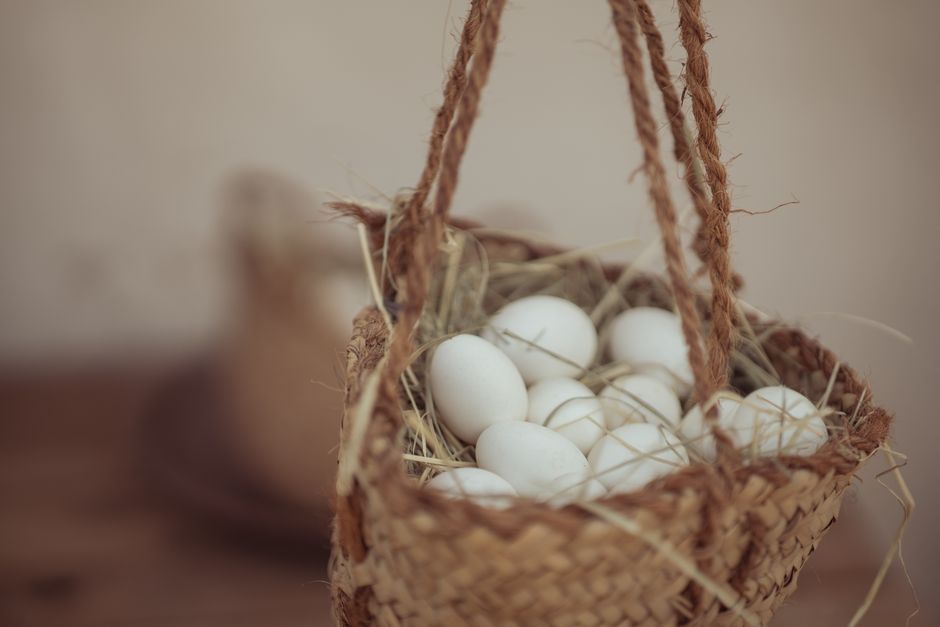 Eggs