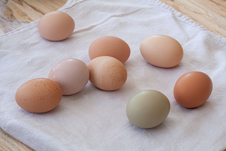 Eggs