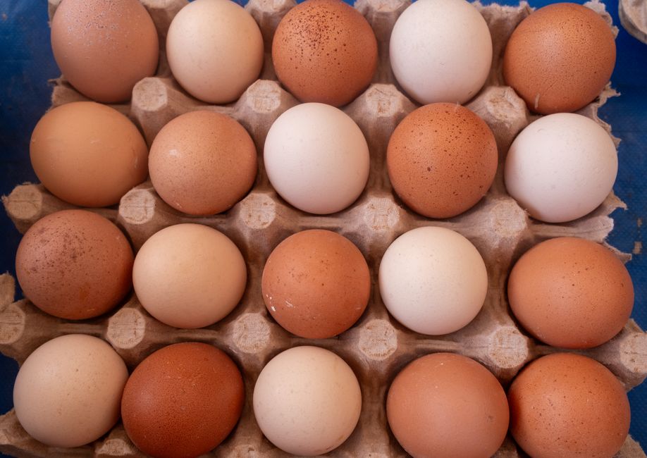 Eggs