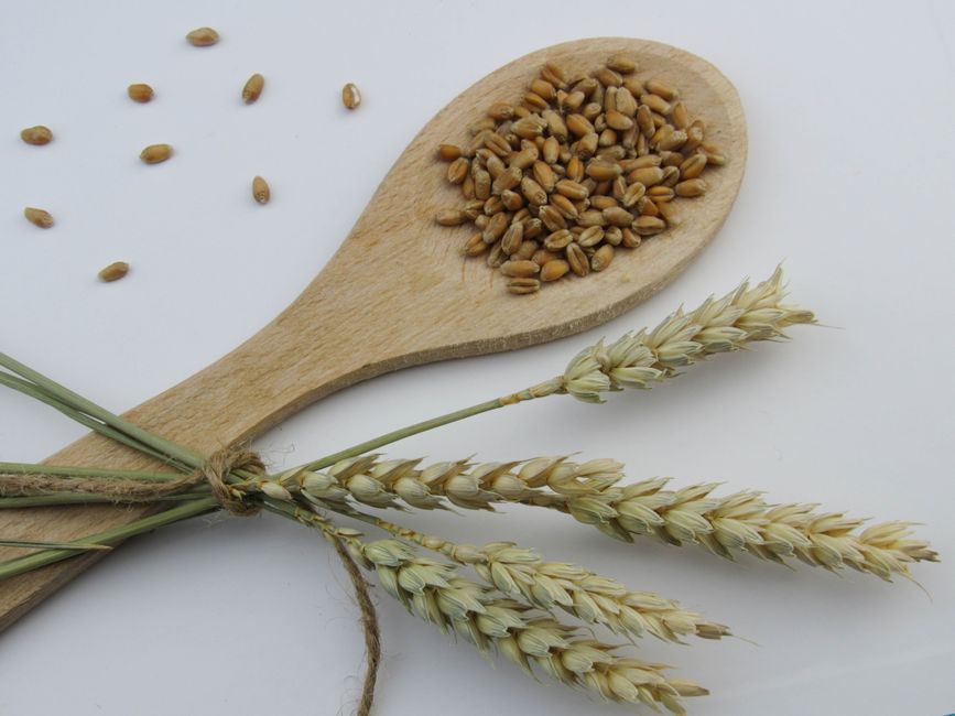 Flour & grains