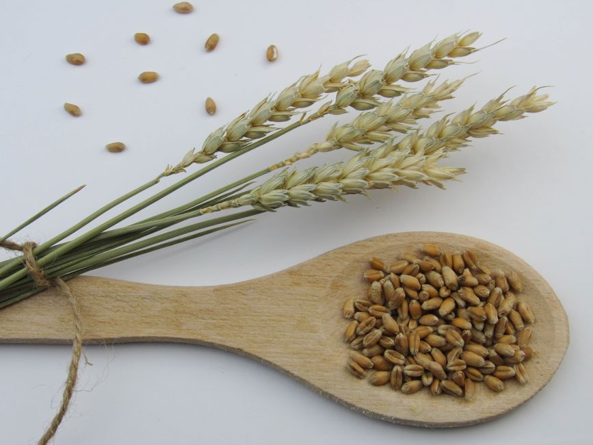 Flour & grains