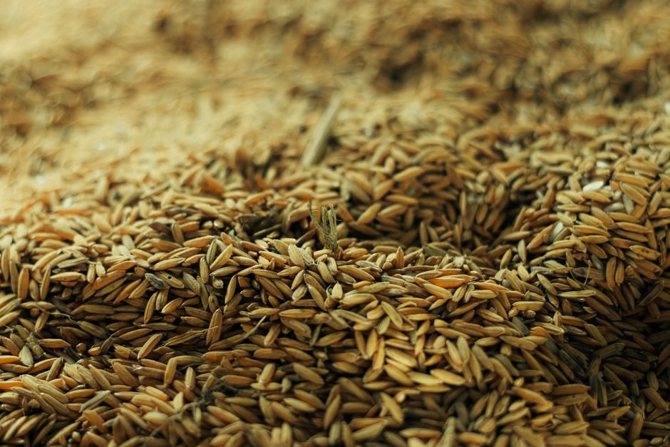 Flour & grains
