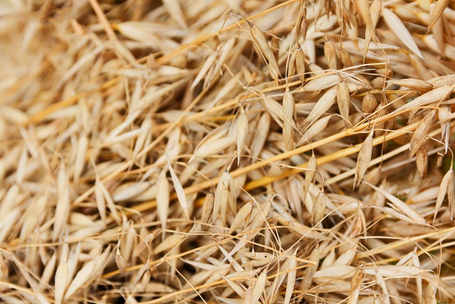 Flour & grains