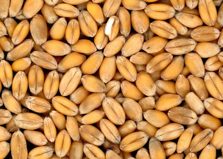 Flour & grains