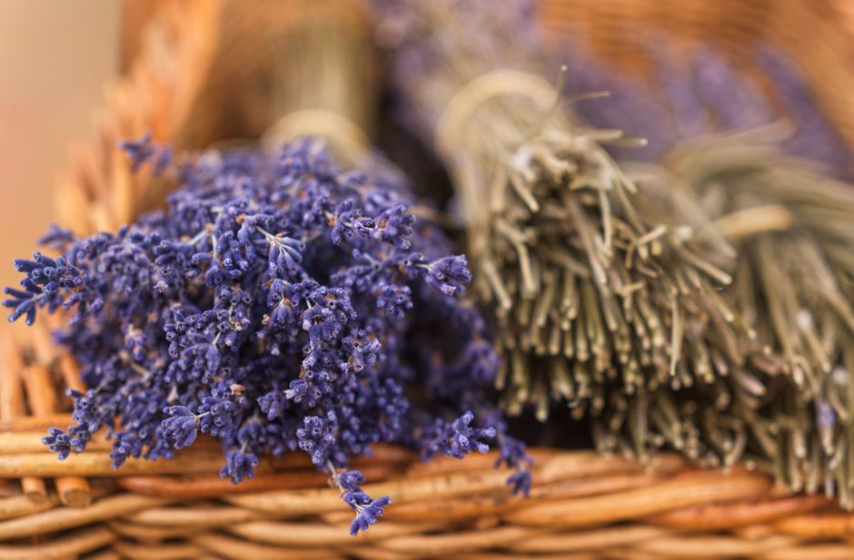 Herbs & teas