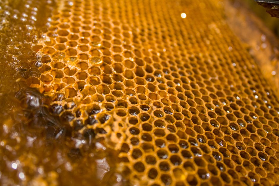 Honey