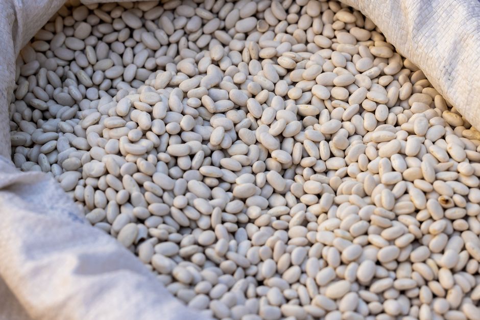 Pulses
