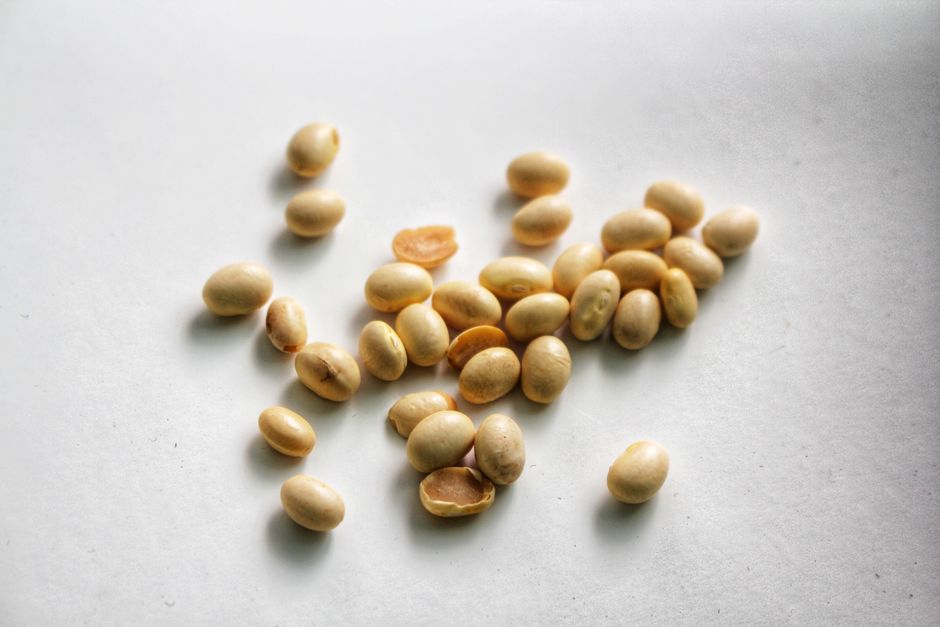 Pulses