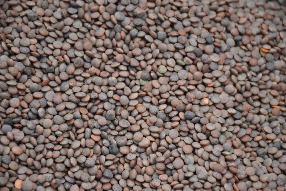 Pulses