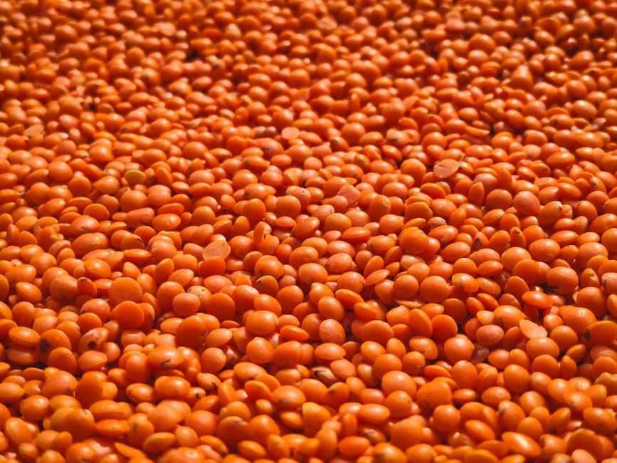Pulses