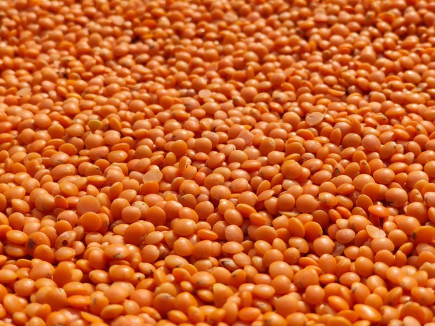 Pulses