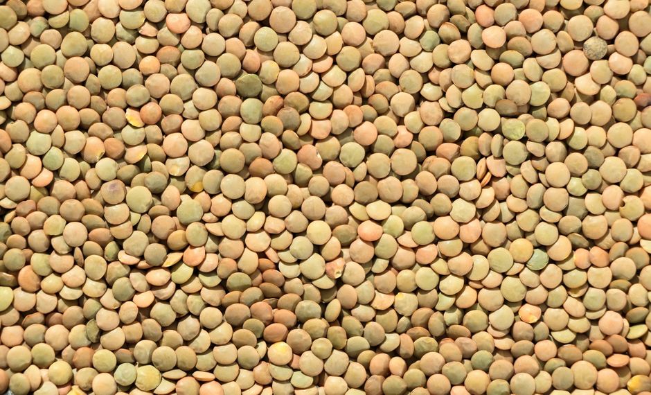 Pulses