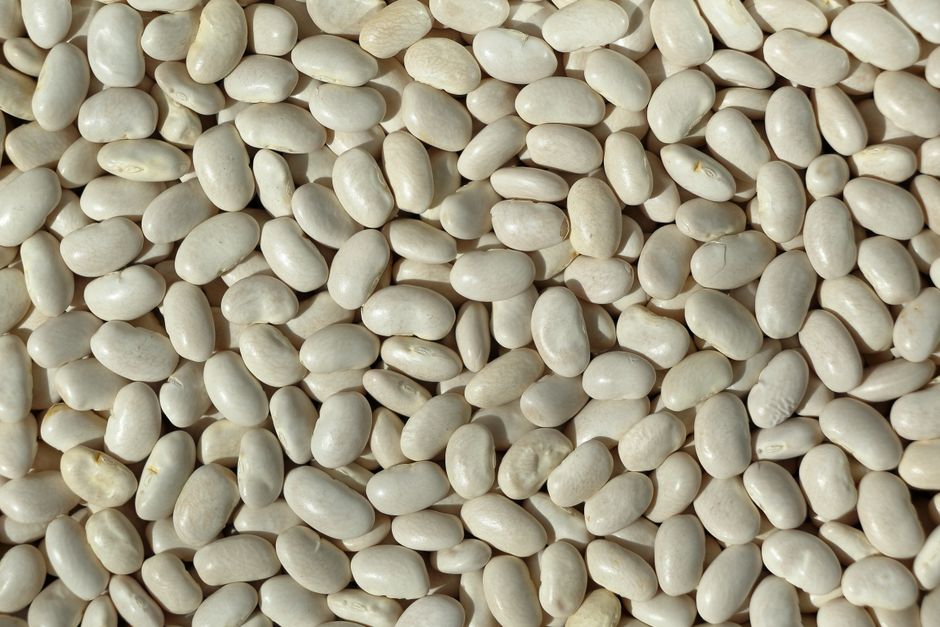 Pulses