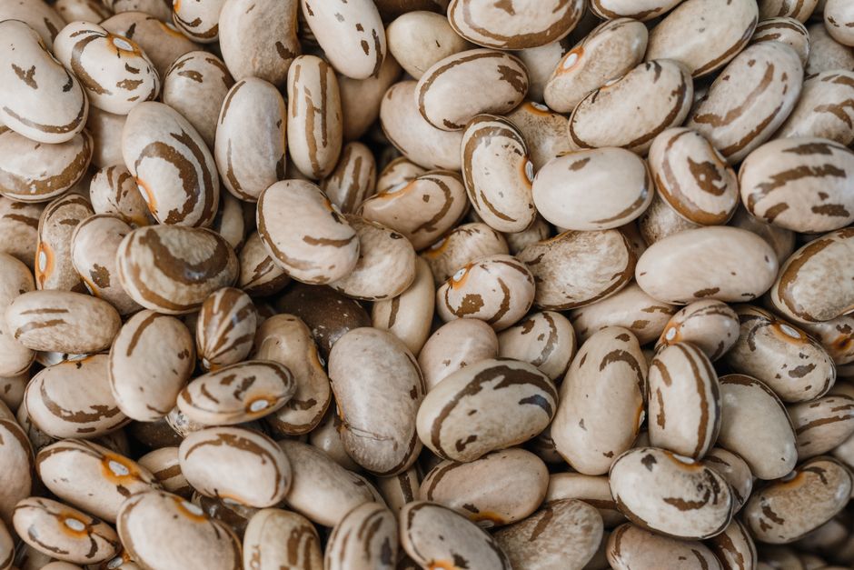 Pulses