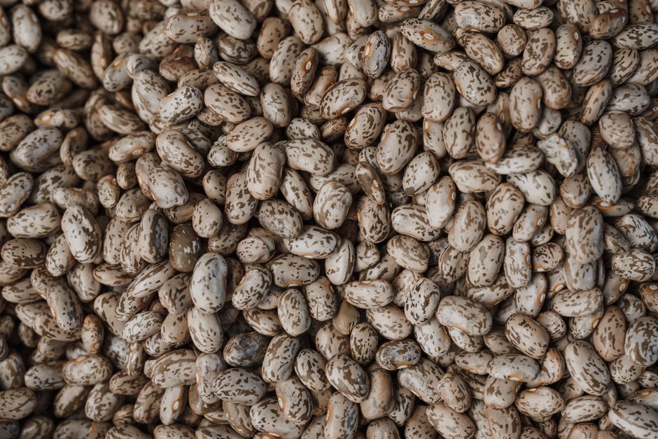 Pulses