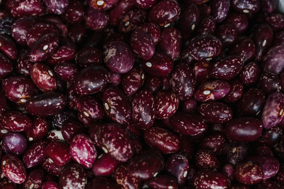 Pulses