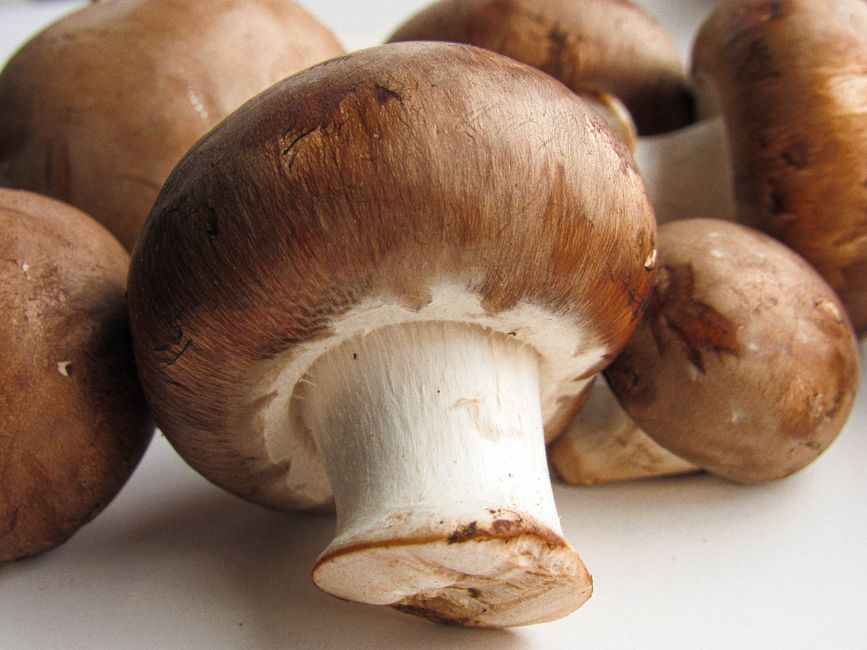 Mushrooms