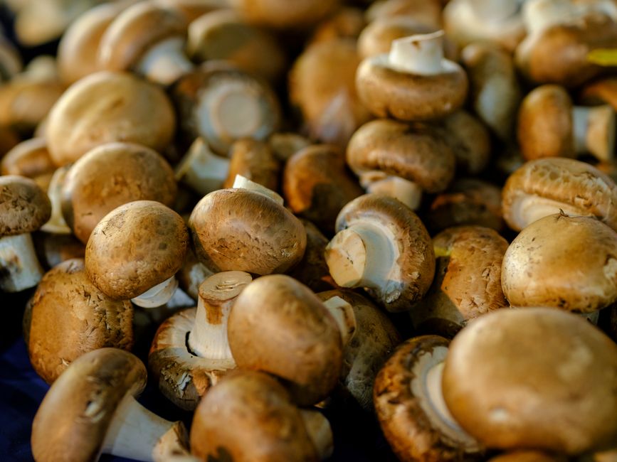 Mushrooms