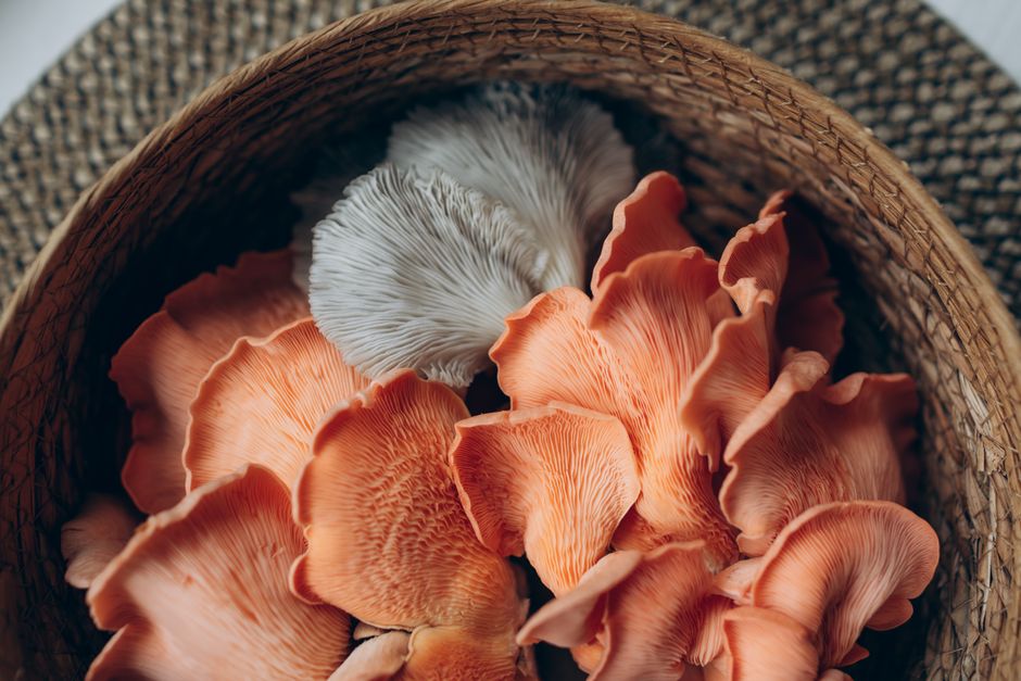Mushrooms
