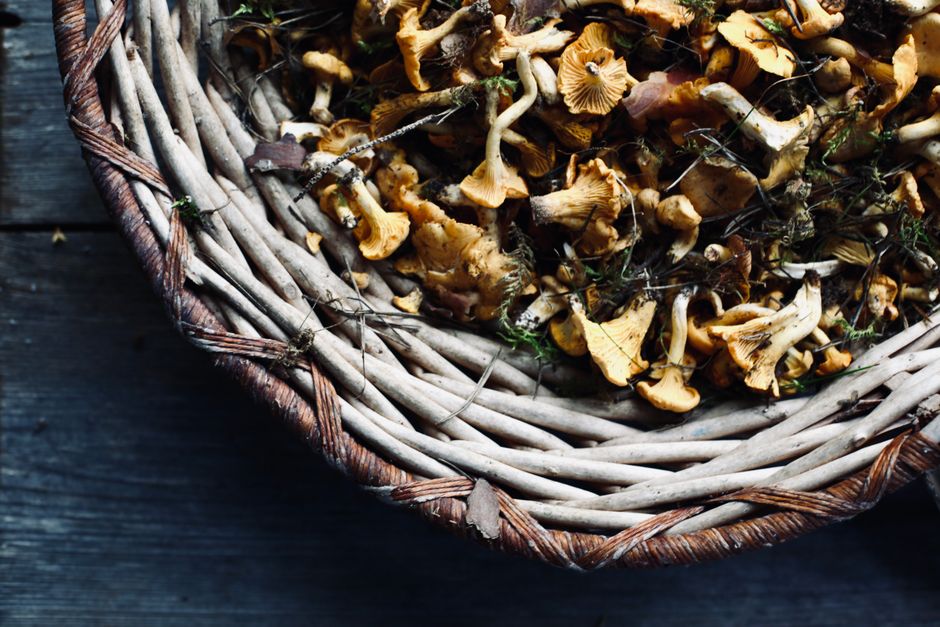 Mushrooms