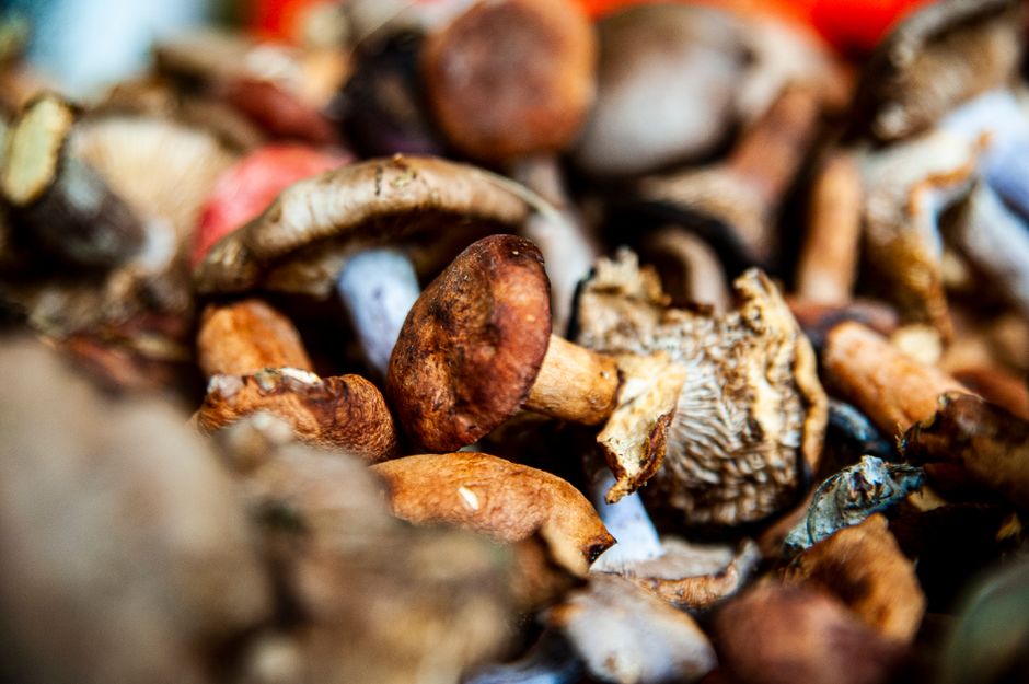 Mushrooms
