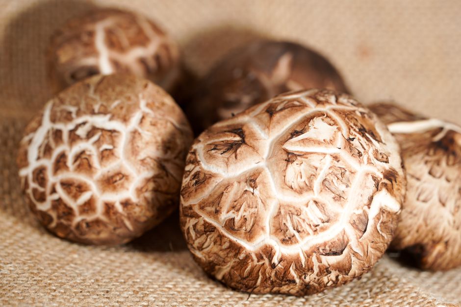 Mushrooms