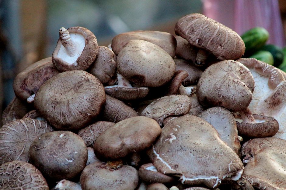 Mushrooms