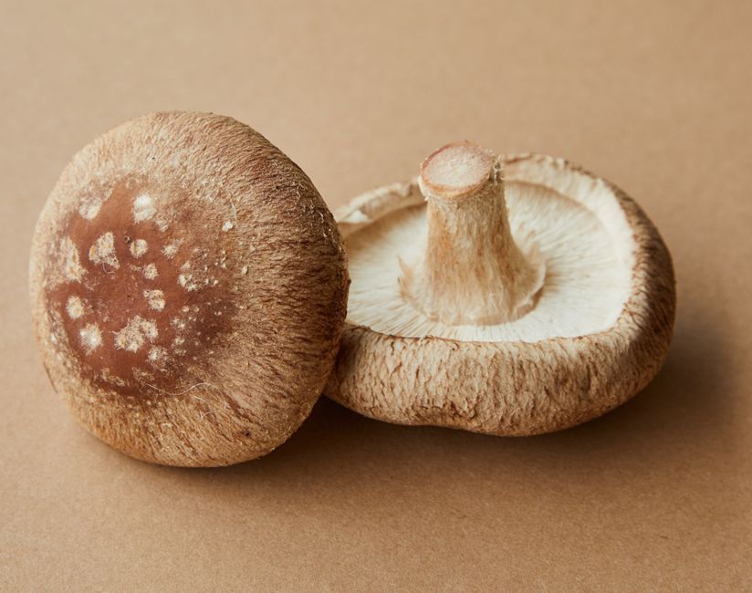 Mushrooms