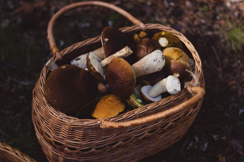 Mushrooms