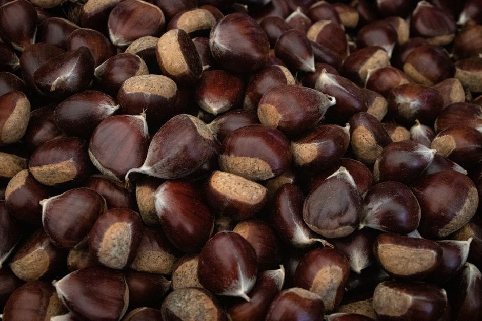 Nuts