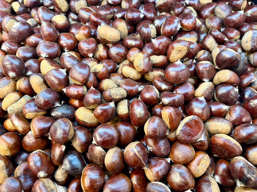 Nuts