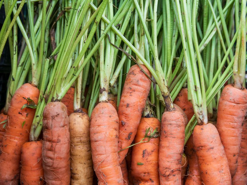 Vegetables
