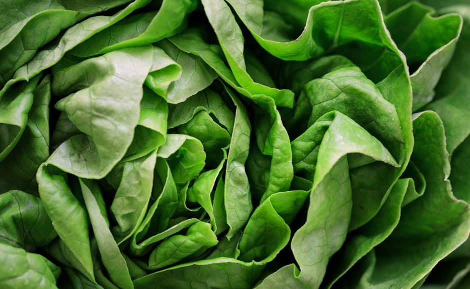 Vegetables